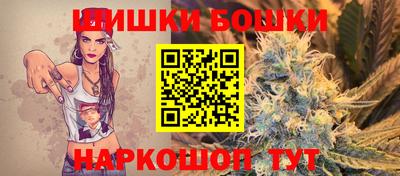 jwh Бийск