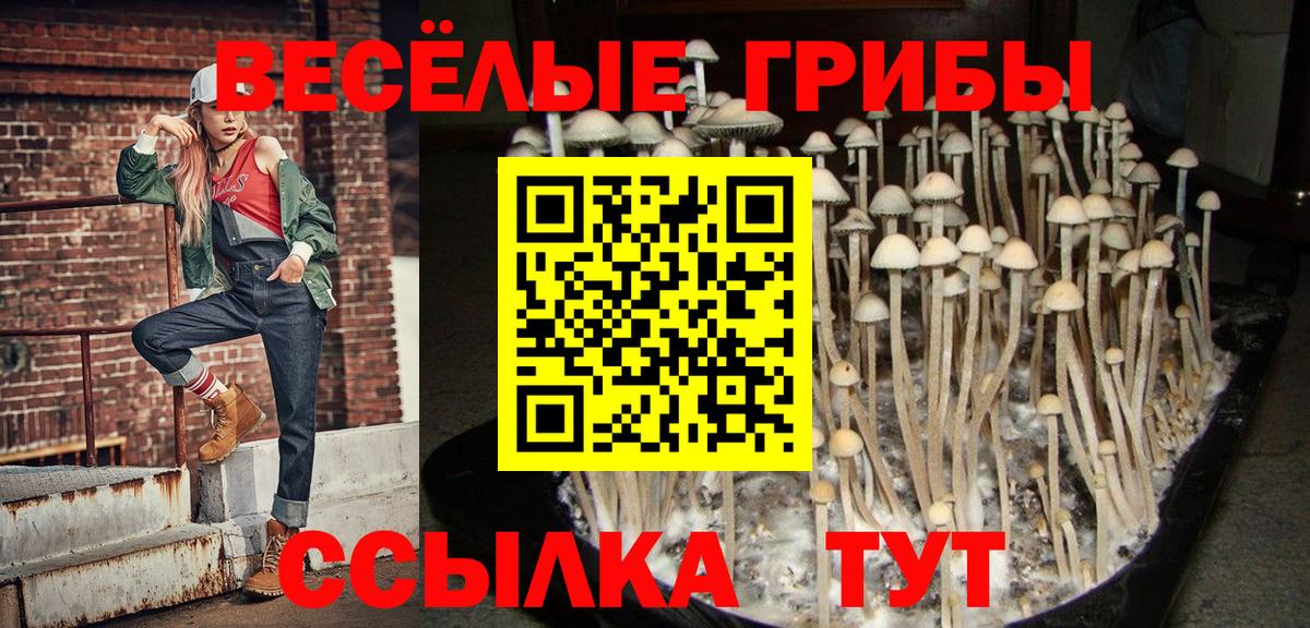 Галлюциногенные грибы MAGIC MUSHROOMS  где продают   Керчь  Вход с VPN 