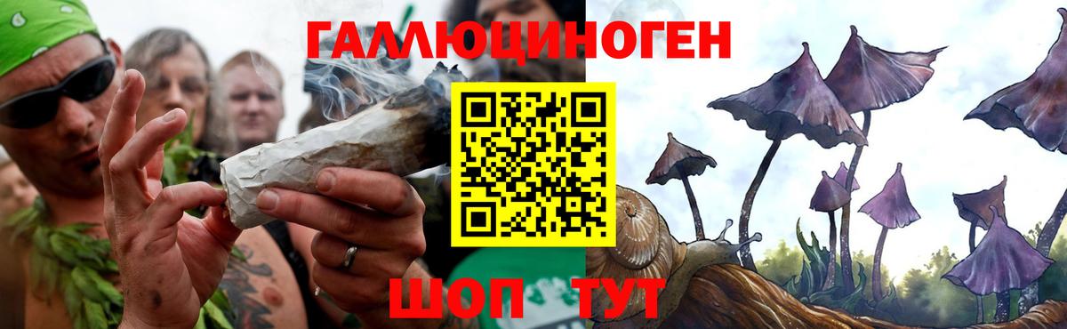 Псилоцибиновые грибы GOLDEN TEACHER Керчь